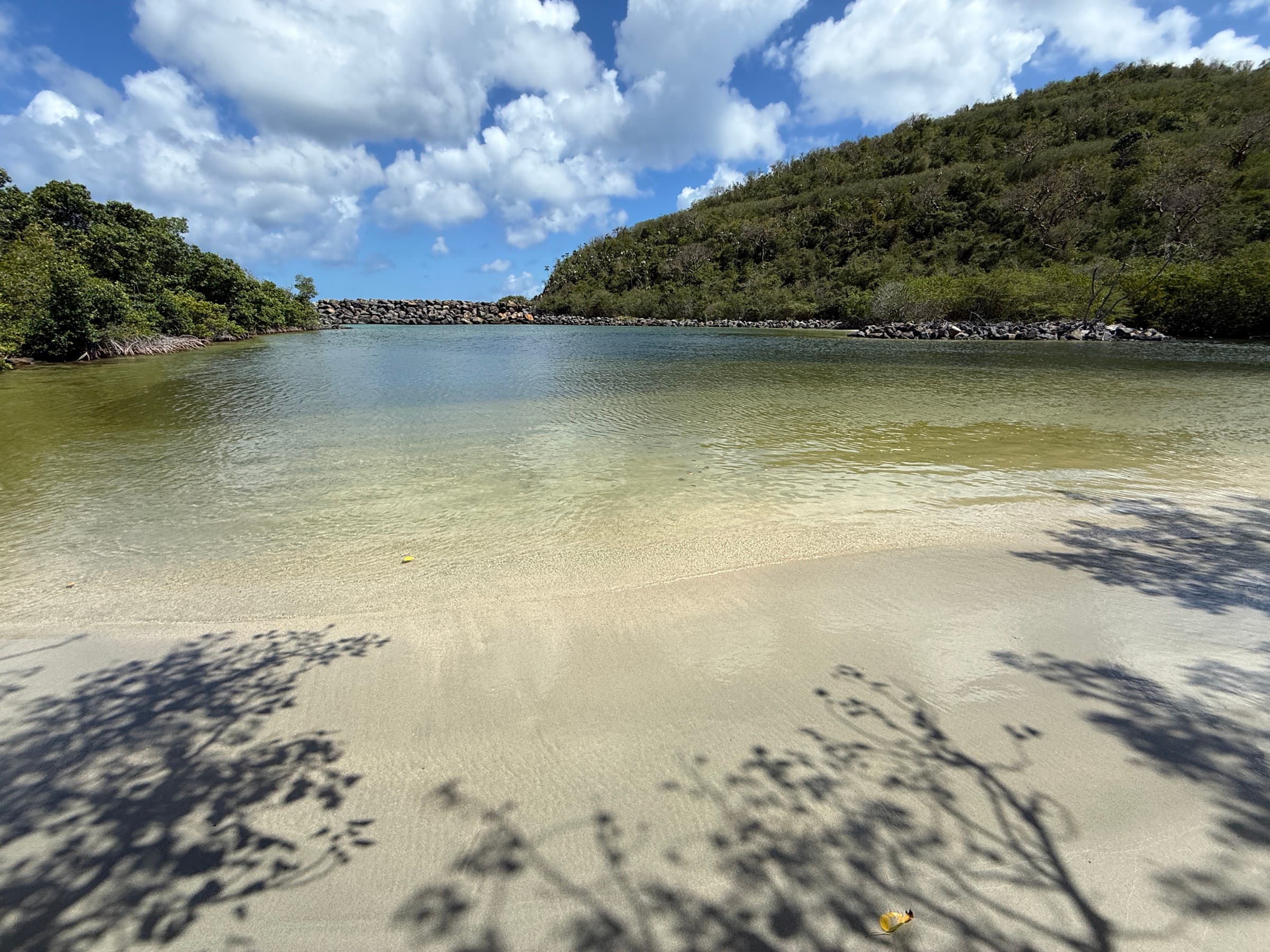 Where the Water Goes Still: Calm Swims on St. Thomas