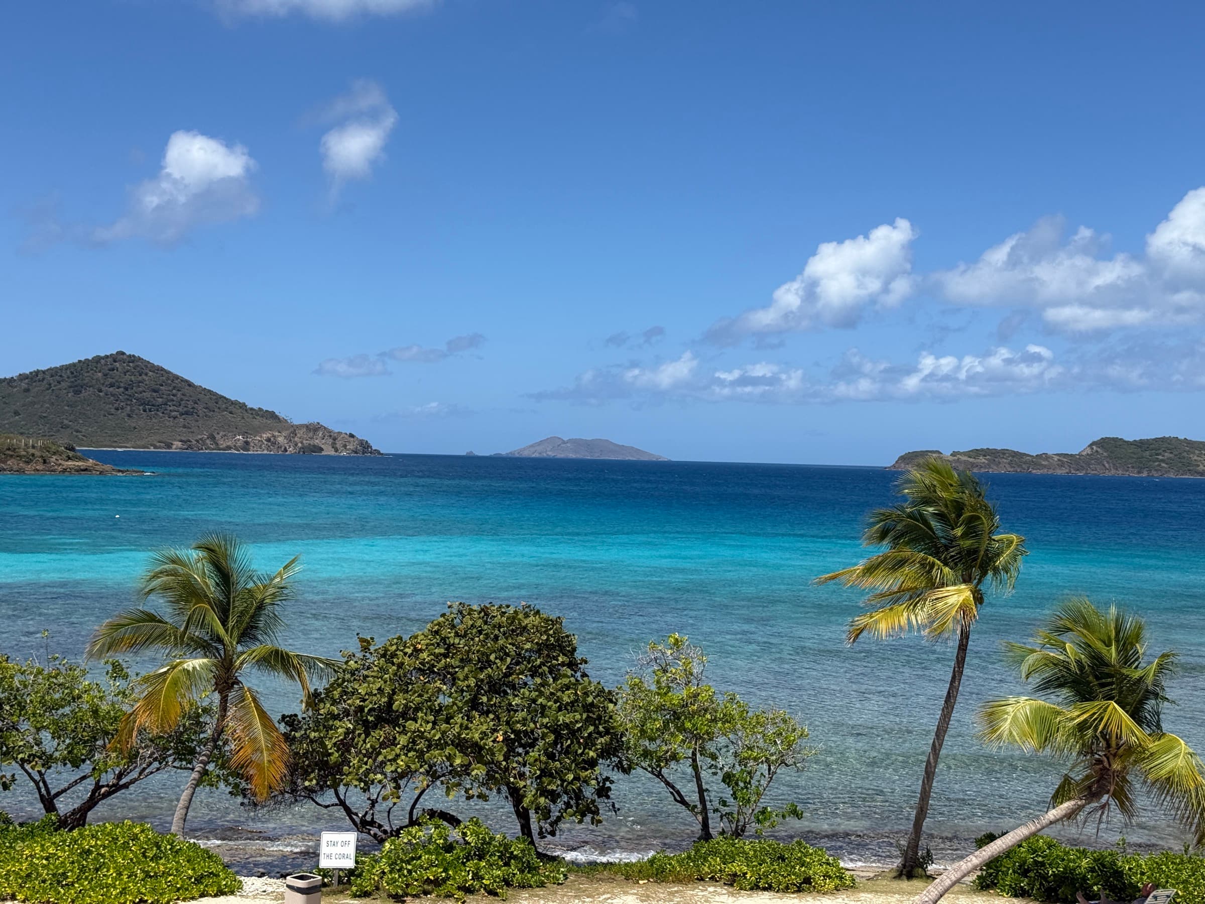 Snorkeling at Sapphire Beach: What You'll Actually See