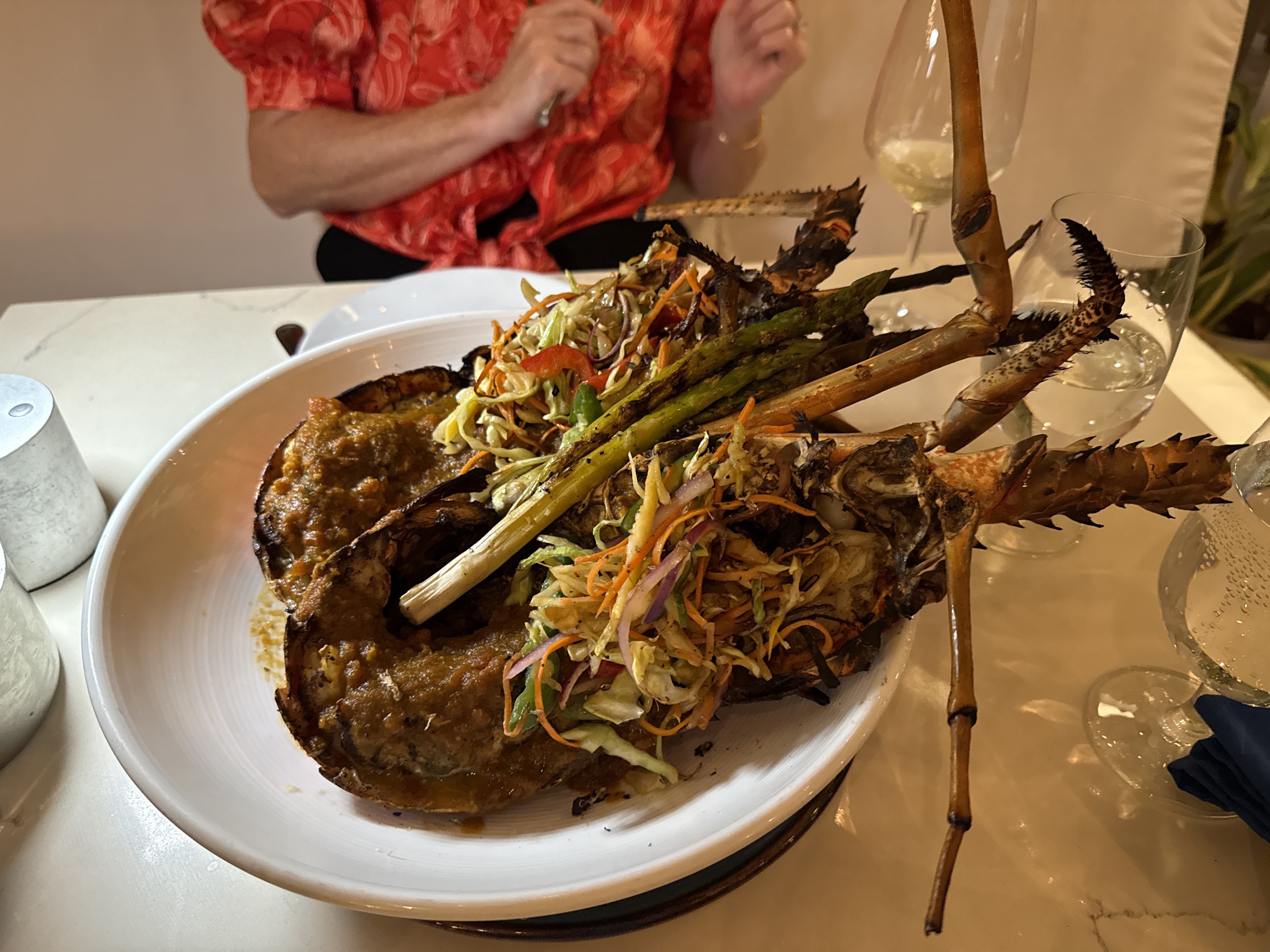 Up close with the spiny lobster — no notes